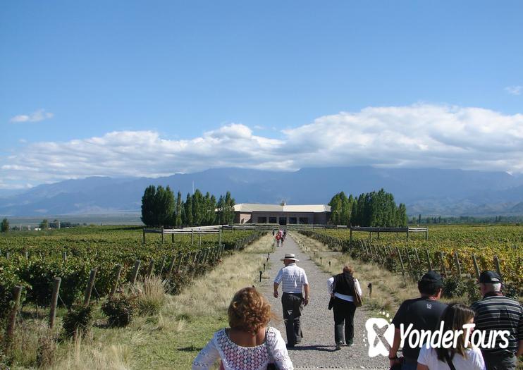 Bodegas Salentein