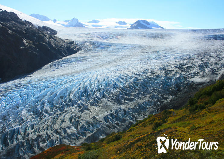 Exit Glacier