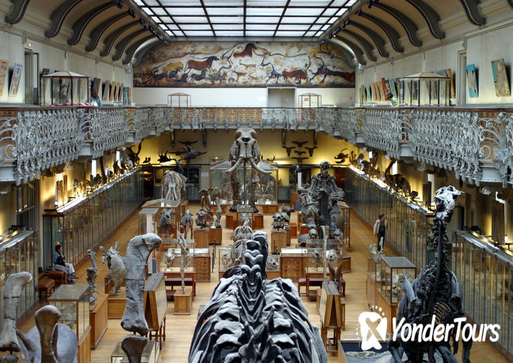 Museum of Natural History (Musee d'Histoire Naturelle)