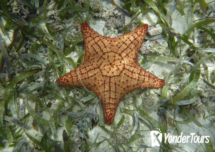 Punta Culebra Nature Center