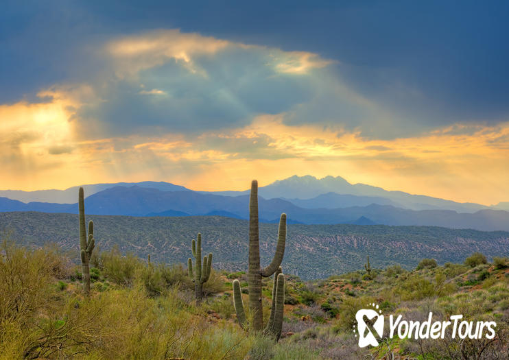 Tonto National Forest