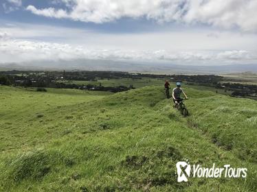 Big Island Mountain Biking on Anna Ranch