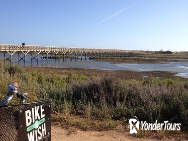 Bike Tour in Ria Formosa Natural Park