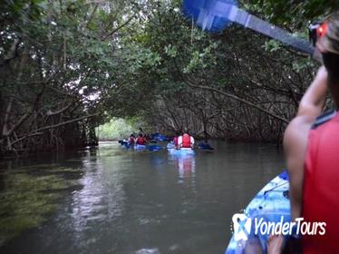 Bioluminescent Bay Glass Bottom Kayak Tour from San Juan