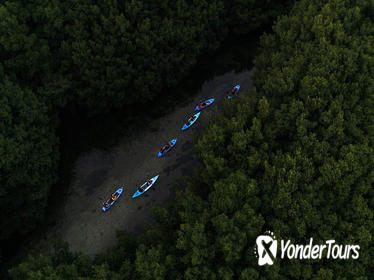 Bioluminescent Bay Kayak Adventure Tour from San Juan