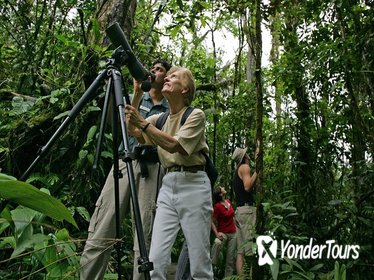 Birding tour from San Jos e