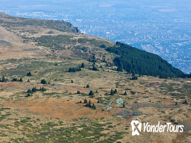 Birdwatching in Vitosha Nature Park from Sofia