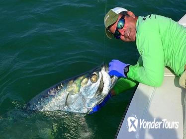 Biscayne Bay Inshore Flats Fishing