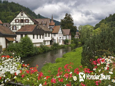 Black Forest and Rhine Falls Day Trip from Zurich