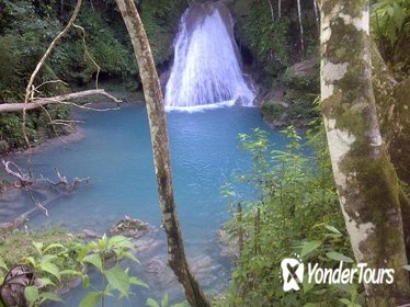 Blue Hole and River Gully Rainforest Adventure Tour from Falmouth