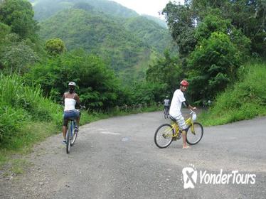 Blue Mountain Bicycle Tour from Kingston