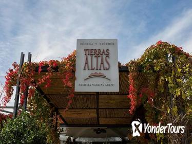 'Bodega Tierras Altas' Malbec Experience