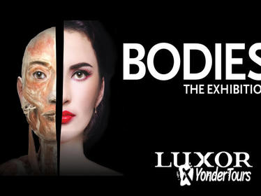 Bodies The Exhibition at the Luxor Hotel and Casino