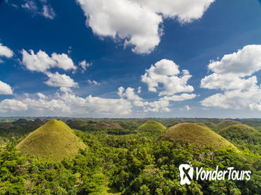 Bohol Highlights Tour: Chocolate Hills, Tarsier Spotting and Loboc River Cruise