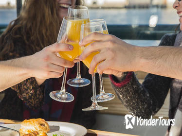 Boston Harbor Holiday Brunch Cruise