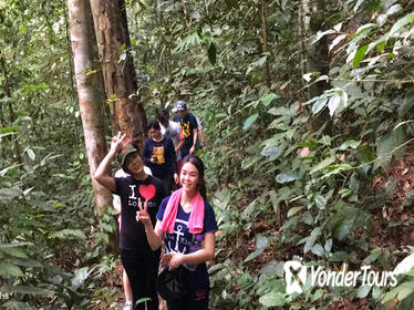 The Dusun: Jungle Trekking Adventure to Waterfall with Jungle Guide 2024 -  Quala Lumpur